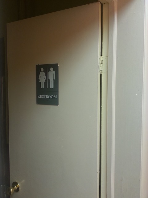 Ovu kabinu u javnom WC-u OBAVEZNO izbegavajte!