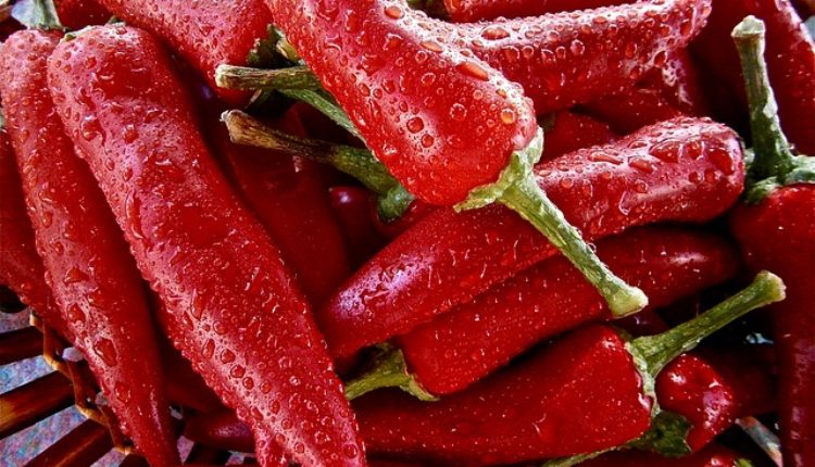 Evo šta će se dogoditi u vašem telu ako pojedete samo papriku dnevno