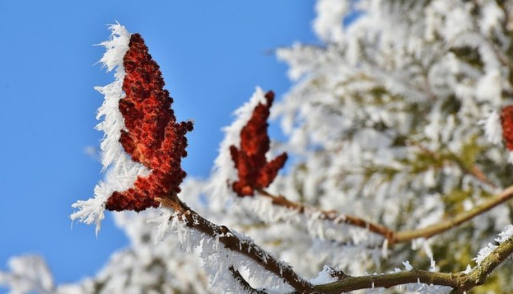 Kraj ledenih dana: Meteorolog otkrio kakvo nas vreme čeka do sredine februara