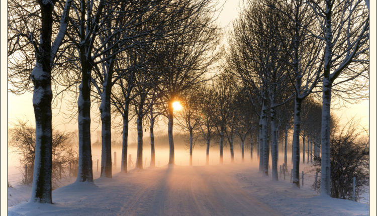 Stiže zahlađenje i sneg: Poznati meteorolog izneo detaljnu prognozu za celu zimu
