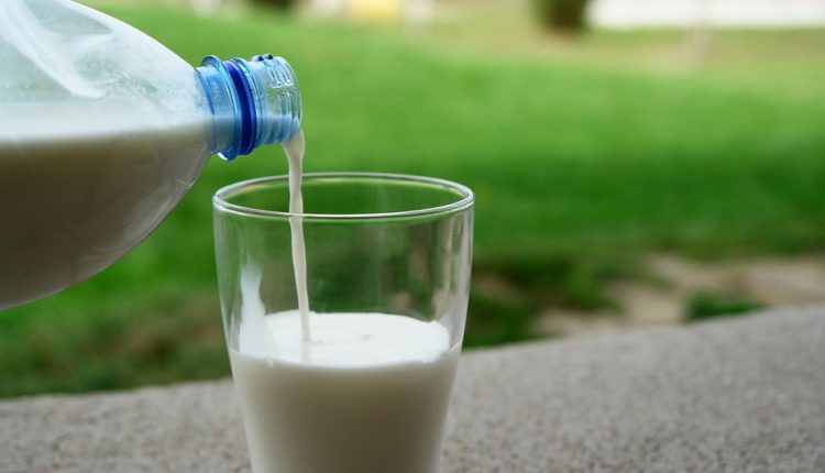 Ni mleko ni jogurt: Ruska lekarka otkriva najkorisniji mlečni proizvod