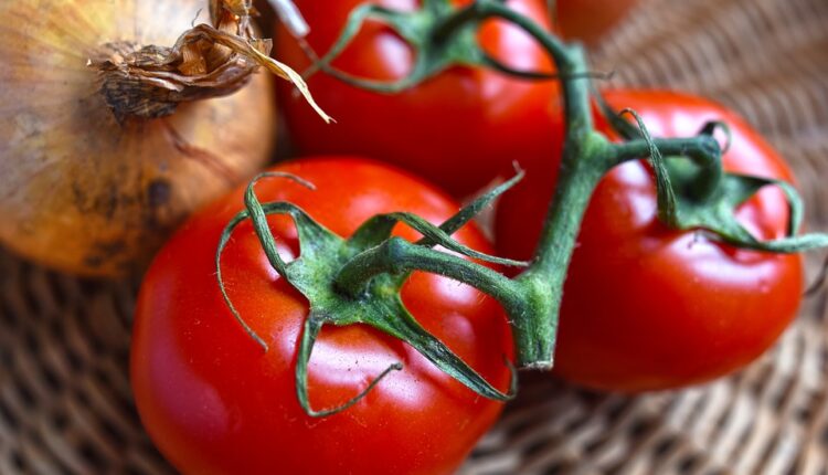 Nemojte da bacate buđav paradajz, nema bolje prihrane za biljke od njega