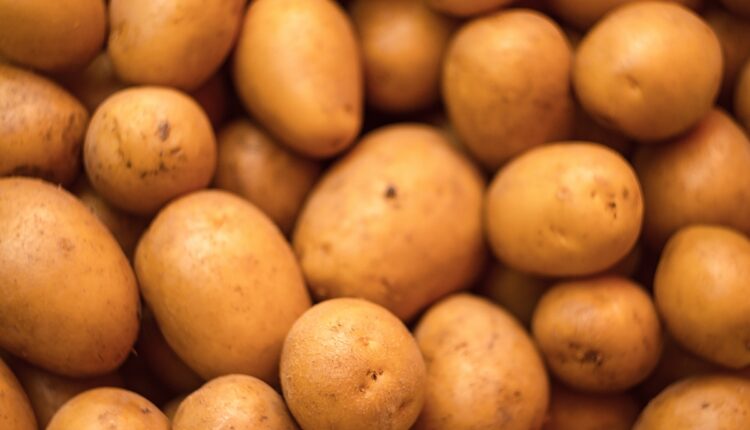 Trikovi za čuvanje krompira – kako da traje mesecima, a da ne proklija