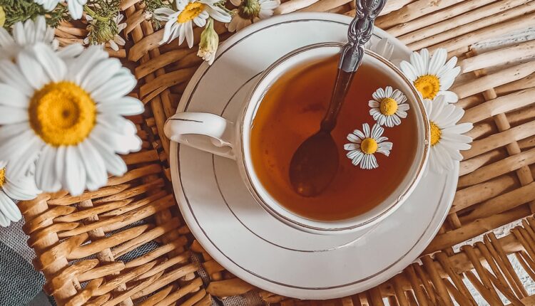 Čudo od biljke: Evo kako omiljeni čaj utiče na vaše telo