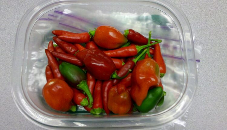 1 vrsta paprike smanjuje rizik za smrt od moždanog udara za 40 odsto