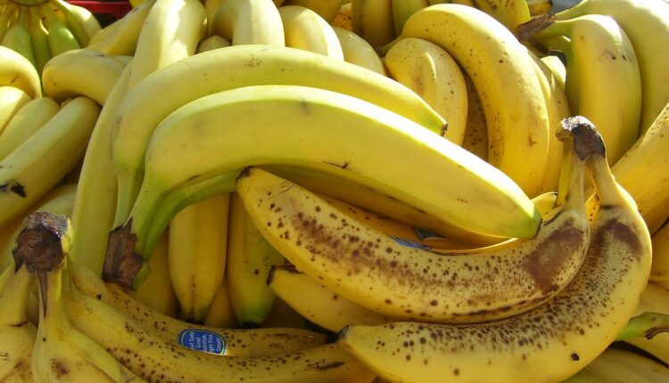 Zelene, žute, sa smeđim mrljama: Stručnjaci otkrili koje banane su najzdravije